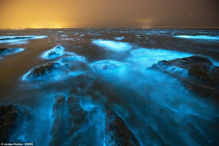 Mesmerizing photos of bioluminescent ALGAE off the coast of Australia ... How to get crayon off wall