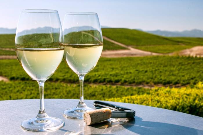 Sonoma Valley: Przewodnik po najlepszych winnicach, bilety How to make my period come faster